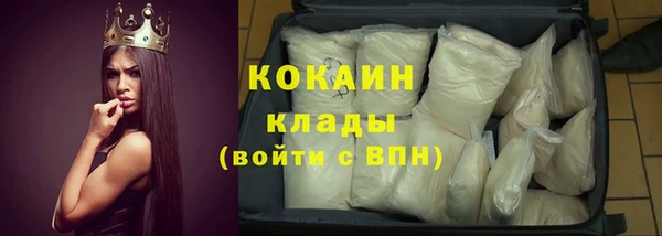 гидра Верея