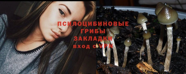 гидра Верея