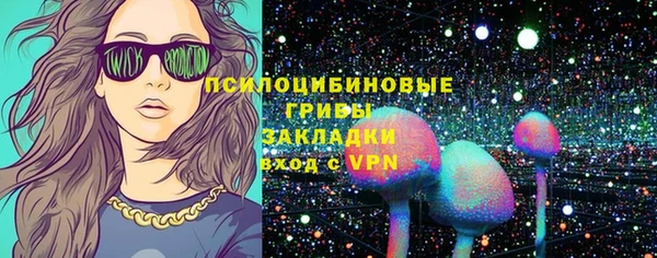 гидра Верея